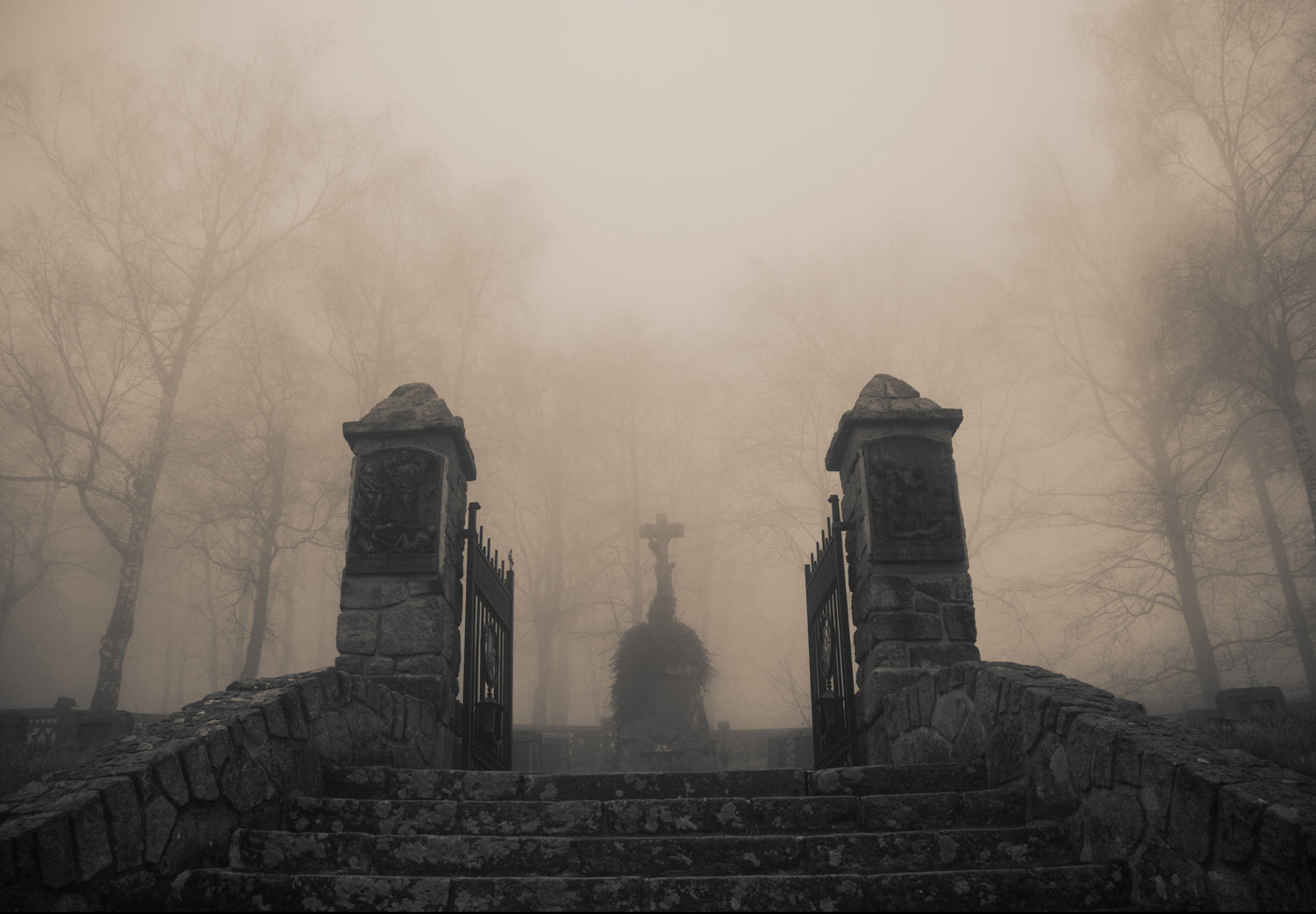 Dark Scents