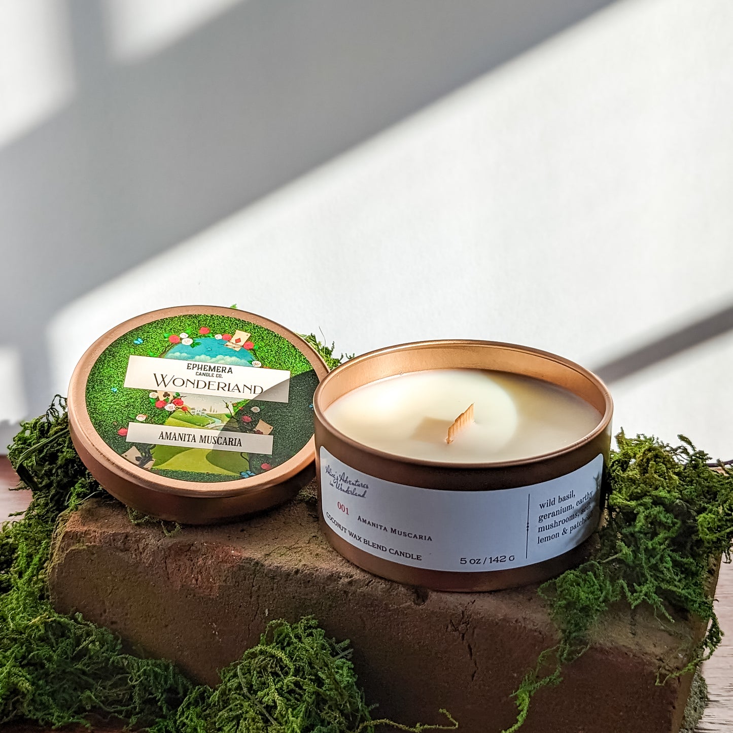 Wonderland: Amanita Muscaria | Mushrooms, Soil, Pine, Citrus & Wild Basil