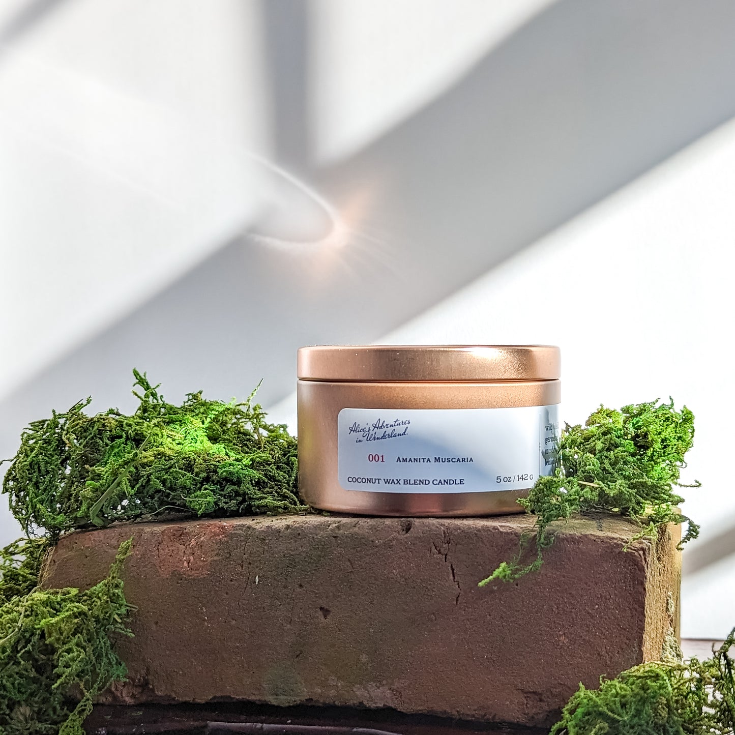Wonderland Scent Journey Bundle