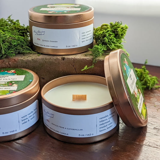 Wonderland: Amanita Muscaria | Mushrooms, Soil, Pine, Citrus & Wild Basil