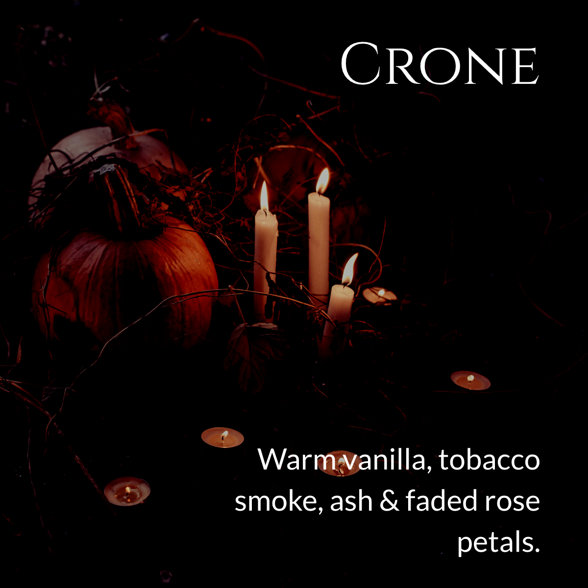 Autumn Ephemeral Wax Melts | Ungovernable Collection | Snap Bars