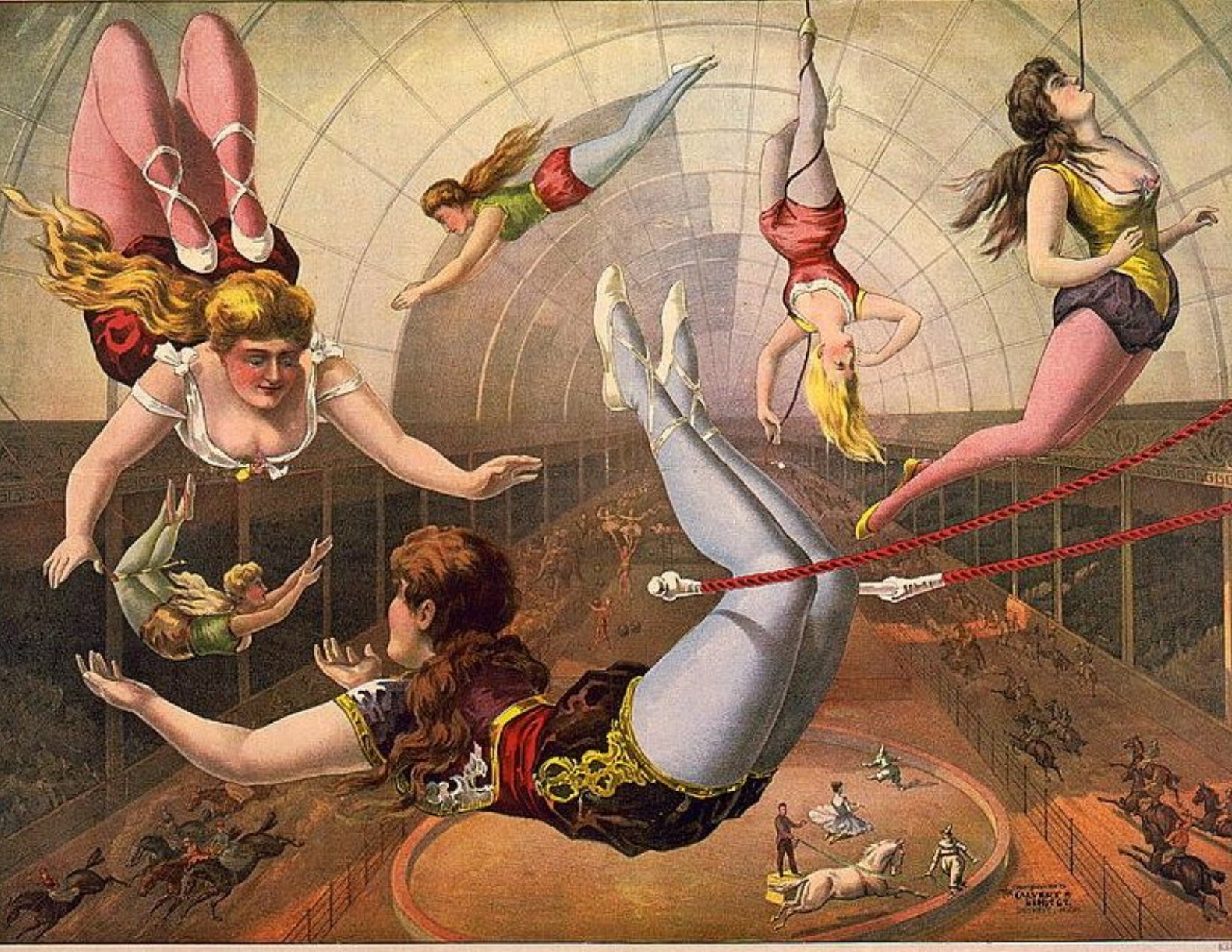 Vintage circus poster print depicting several female acrobats performing suspended trapeze and aerial feats inside a large domed arena, with ropes, rings, and spectators below.