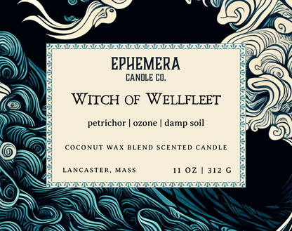 Petrichor coconut blend scented candle