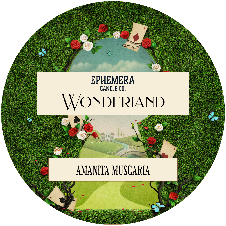 Wonderland: Amanita Muscaria | Mushrooms, Soil, Pine, Citrus & Wild Basil
