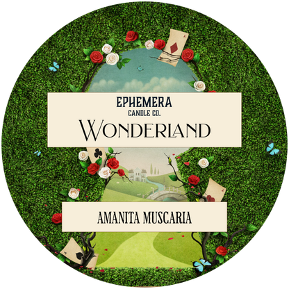 Wonderland: Amanita Muscaria | Mushrooms, Soil, Pine, Citrus & Wild Basil